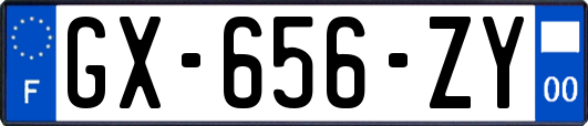 GX-656-ZY
