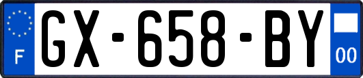 GX-658-BY