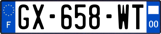 GX-658-WT