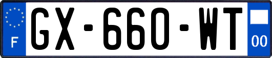 GX-660-WT