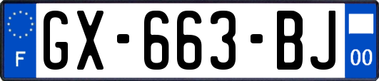 GX-663-BJ