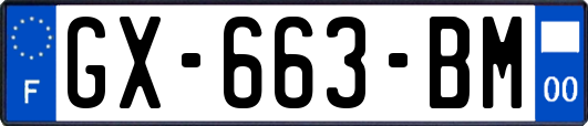 GX-663-BM