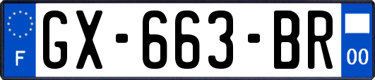 GX-663-BR