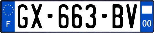 GX-663-BV