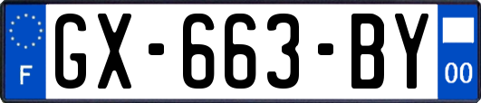 GX-663-BY