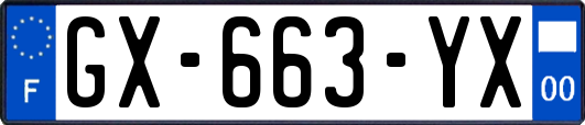 GX-663-YX