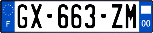 GX-663-ZM