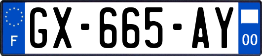 GX-665-AY