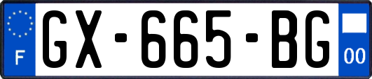 GX-665-BG