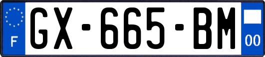 GX-665-BM