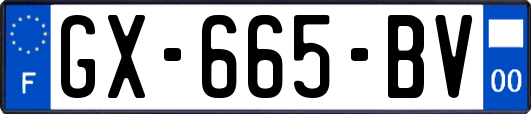 GX-665-BV