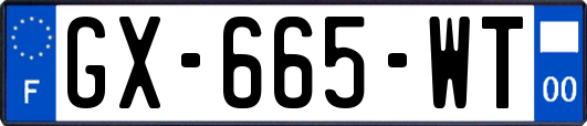 GX-665-WT