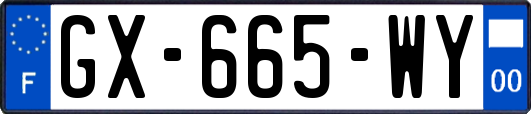 GX-665-WY