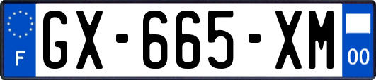 GX-665-XM