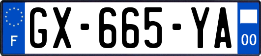 GX-665-YA