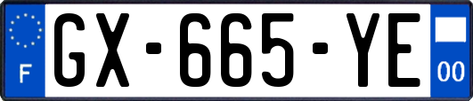 GX-665-YE