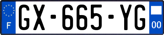 GX-665-YG