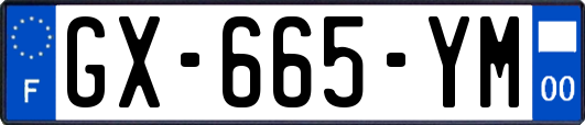 GX-665-YM