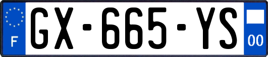 GX-665-YS