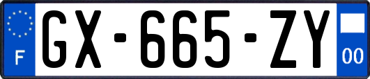 GX-665-ZY