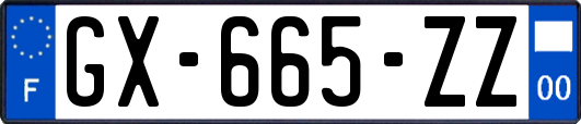 GX-665-ZZ
