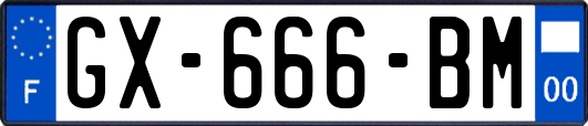 GX-666-BM