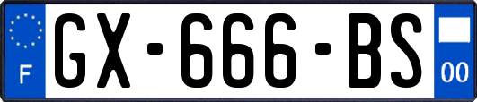 GX-666-BS
