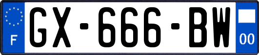 GX-666-BW