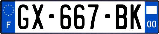 GX-667-BK