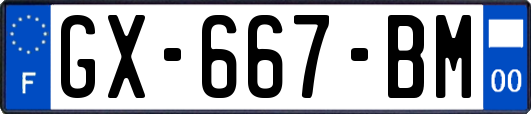 GX-667-BM
