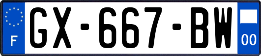 GX-667-BW