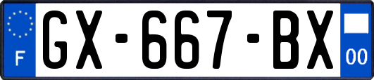 GX-667-BX