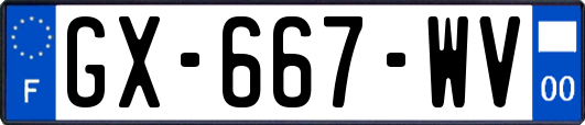 GX-667-WV
