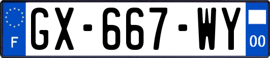 GX-667-WY
