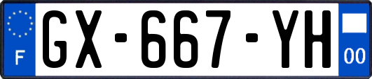 GX-667-YH
