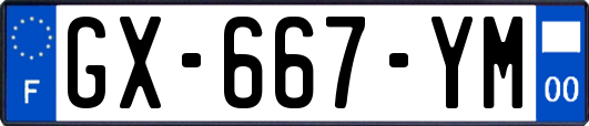 GX-667-YM