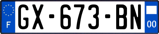 GX-673-BN