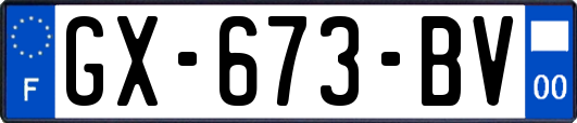 GX-673-BV
