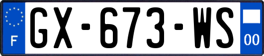GX-673-WS
