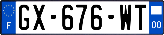 GX-676-WT