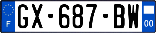 GX-687-BW