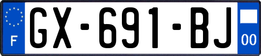 GX-691-BJ