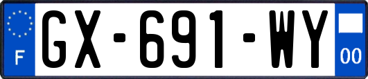 GX-691-WY