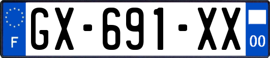GX-691-XX