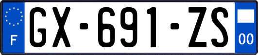 GX-691-ZS