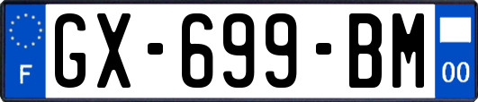 GX-699-BM
