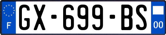 GX-699-BS