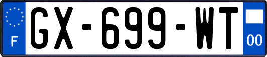 GX-699-WT
