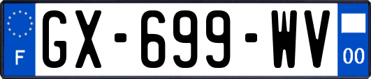 GX-699-WV