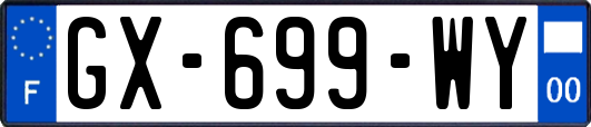 GX-699-WY